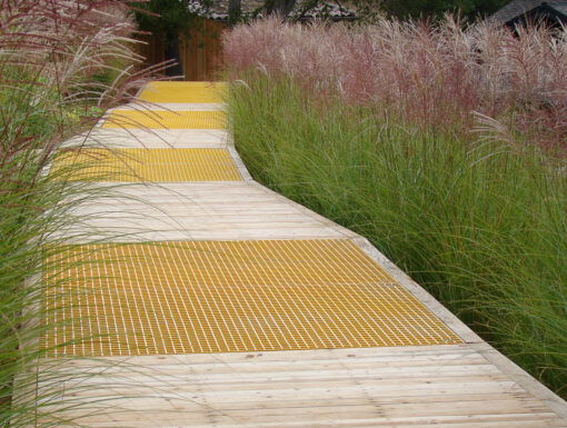 Walkway plank among grasses Hillside Exploration Lafayette, CA