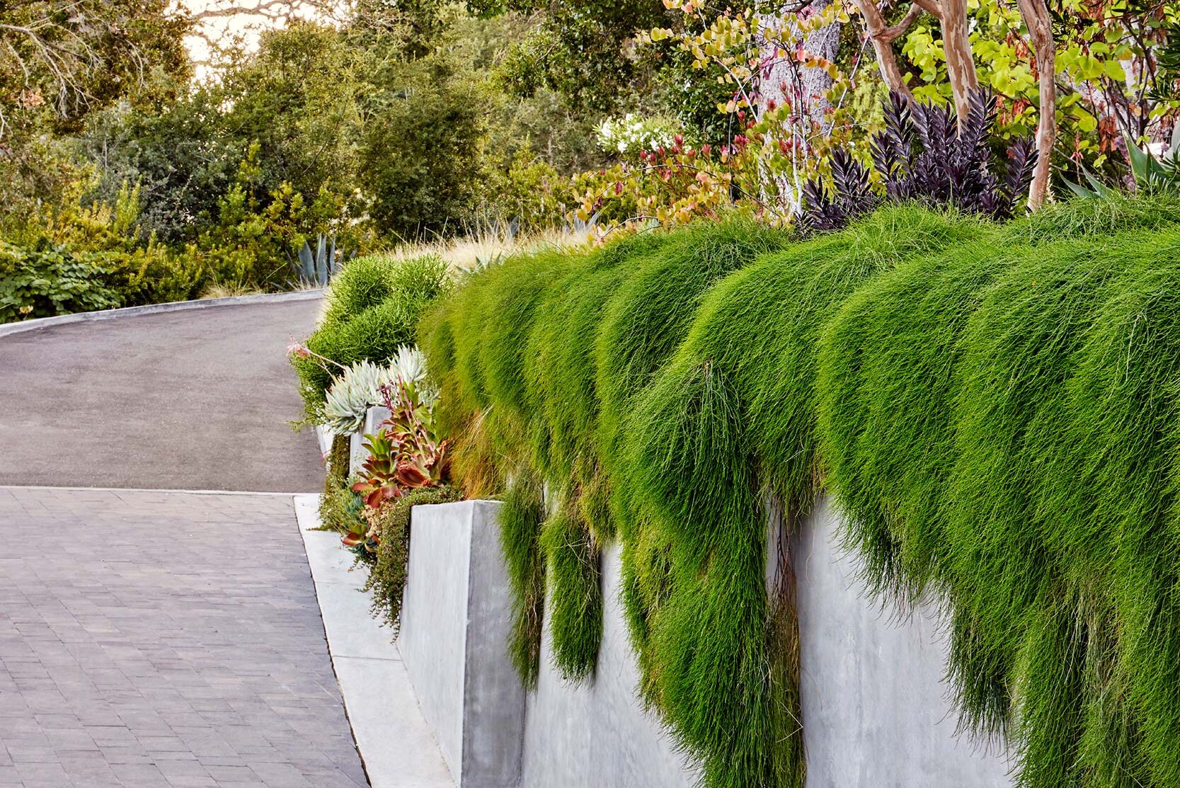 Los Altos Hills exterior wall with plantings