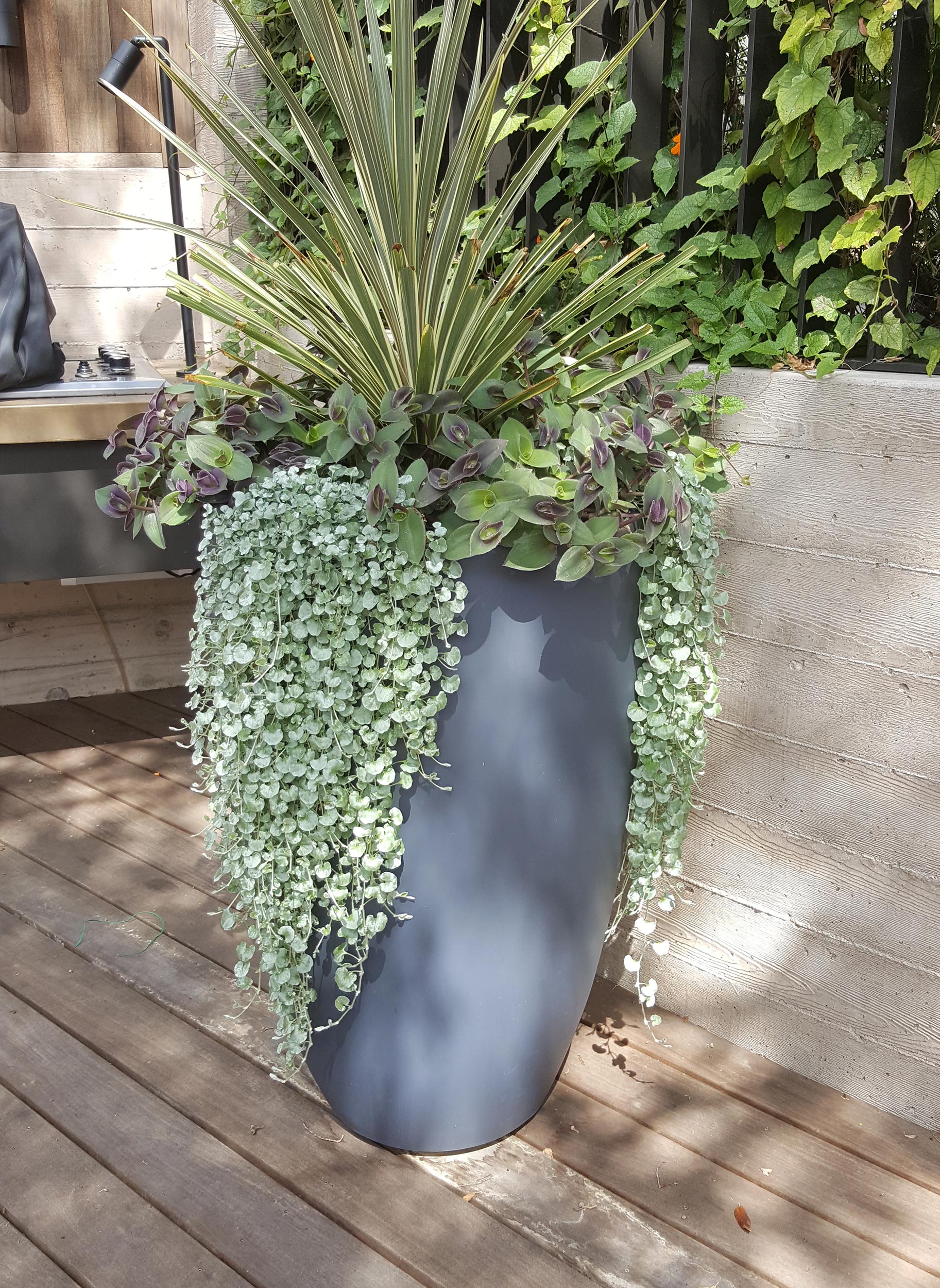 Maybeck Revealed Berkeley, CA potted plant detail