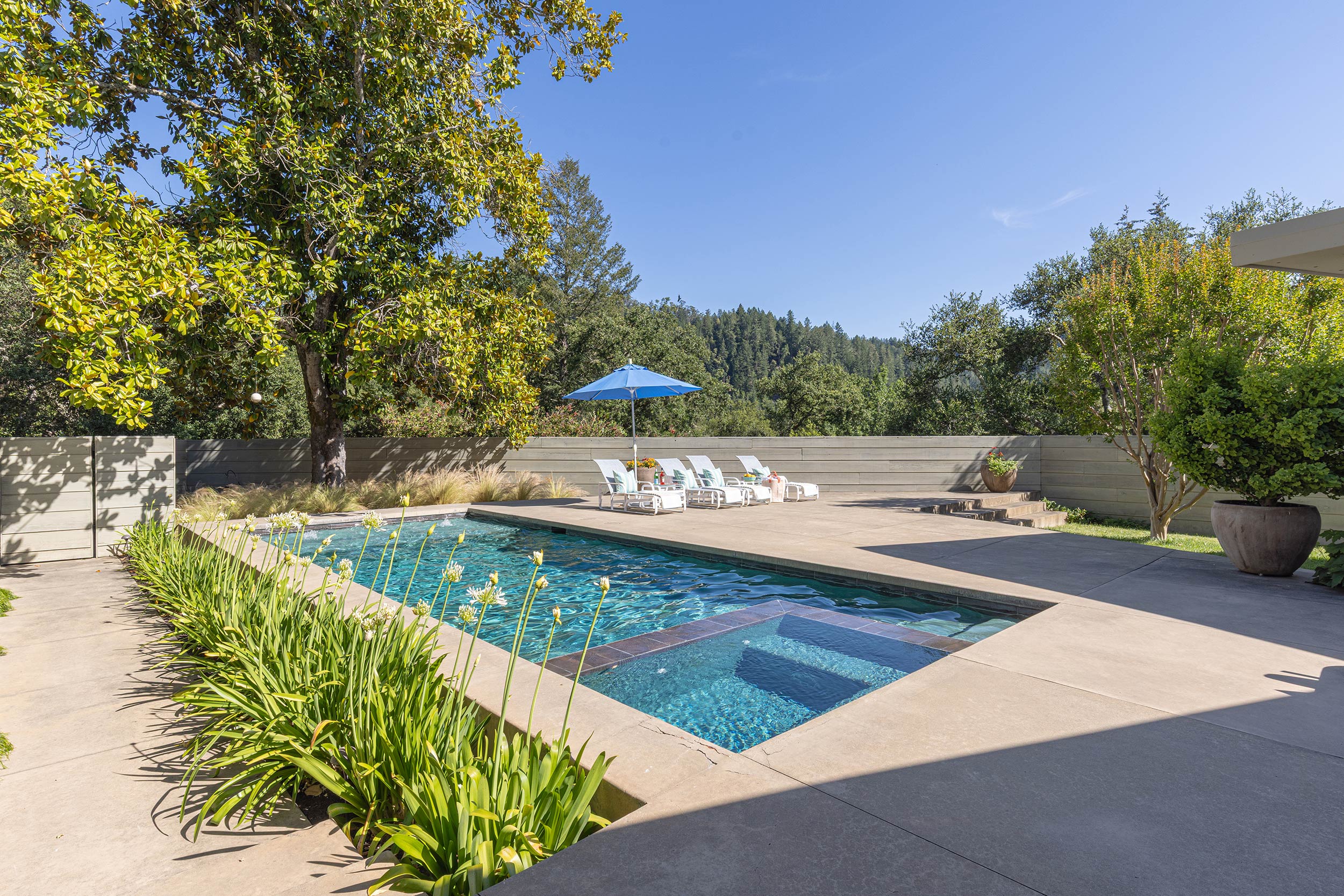 Modern Mid-century Forestville, CA pool view
