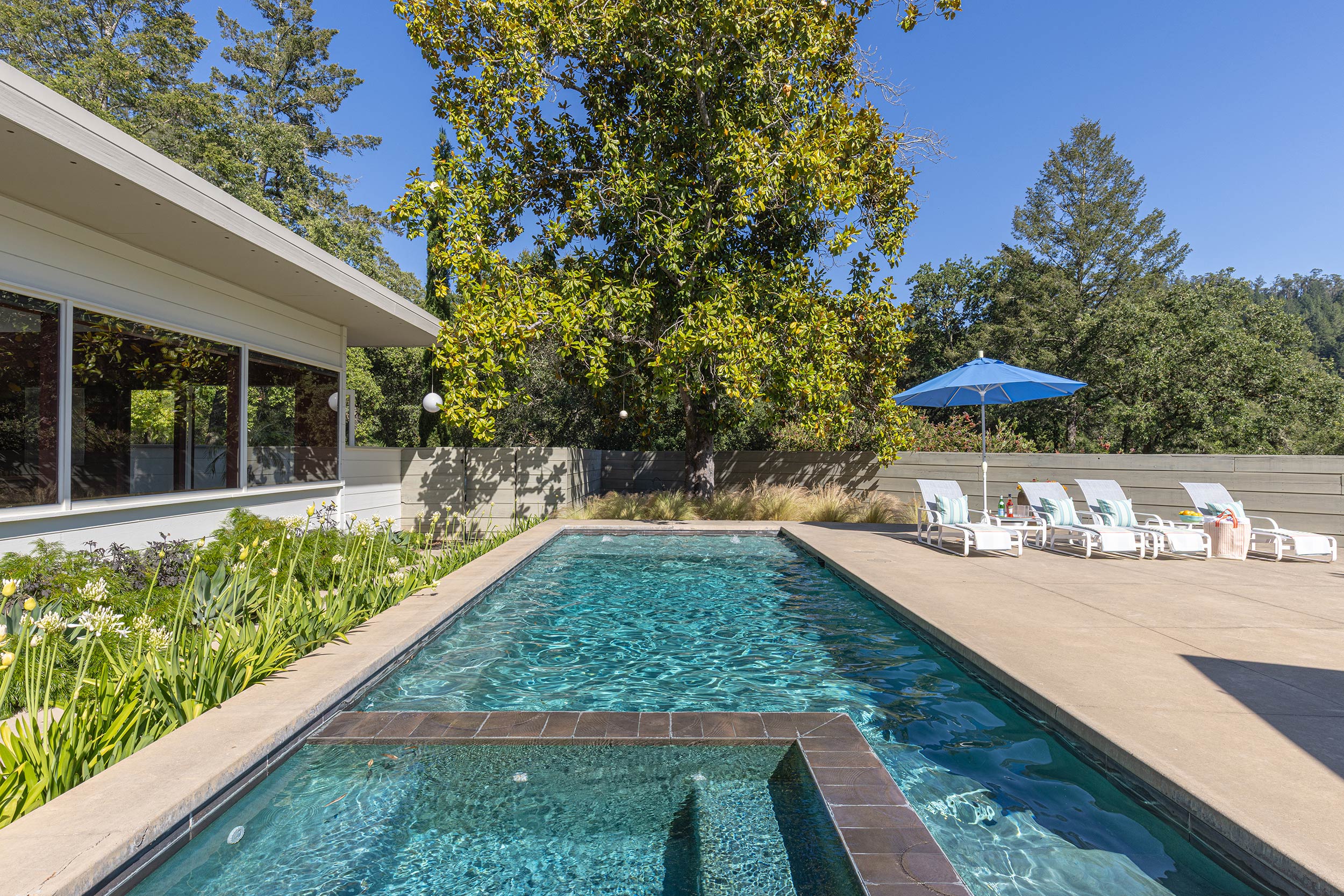 Modern Mid-century Forestville, CA pool area