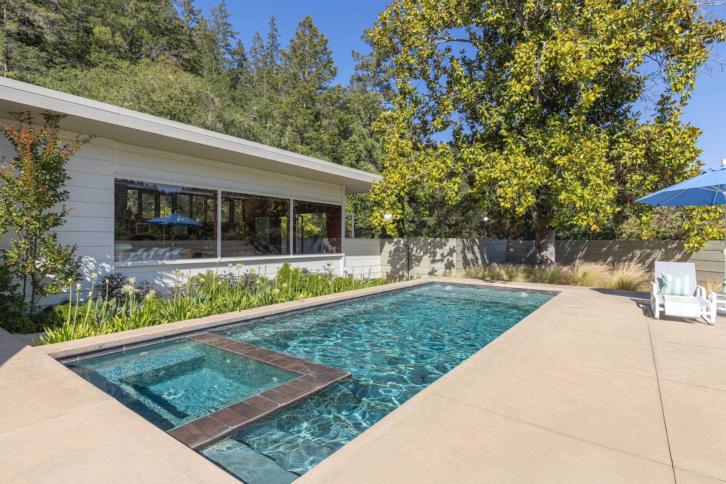 Modern Mid-century Forestville, CA pool area